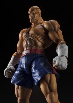 STREET FIGTHER S.H. Figuarts SAGAT, DAM