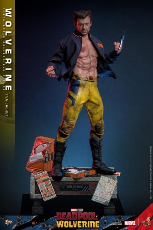 WOLVERINE Marvel Hot Toys (TVA Jacket version) Deadpool & Wolverine MMS756 1/6 Scale NUEVO Y SELLADO, CON CAJA CAFÉ