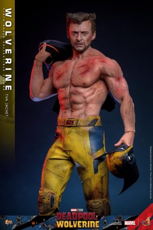 WOLVERINE Marvel Hot Toys (TVA Jacket version) Deadpool & Wolverine MMS756 1/6 Scale NUEVO Y SELLADO, CON CAJA CAFÉ